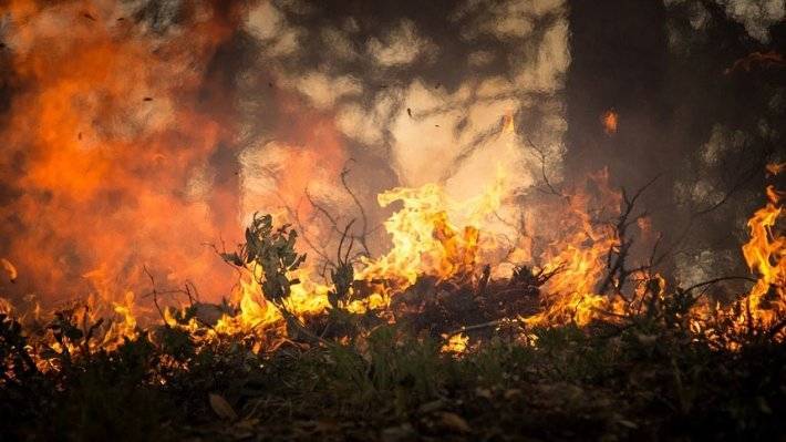 Сибиряки просят ввести в регионе режим ЧС из-за лесных пожаров - polit.info - Красноярский край - Иркутская обл. - округ Сибирский - Сибирь