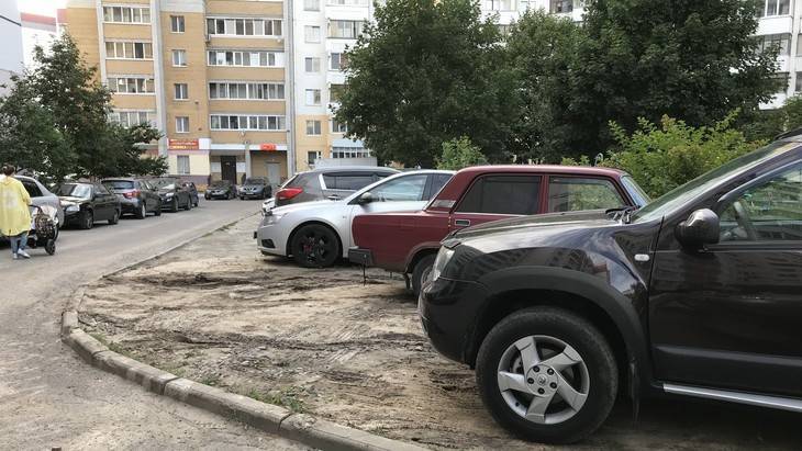 Возможность дважды штрафовать водителей разобьется о брянские порядки - bragazeta.ru - Россия - Брянск