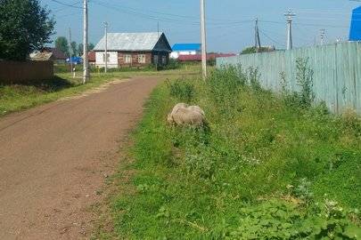 Константин Толкачев - Курсы валют ЦБ РФ - ufacitynews.ru - Башкирия