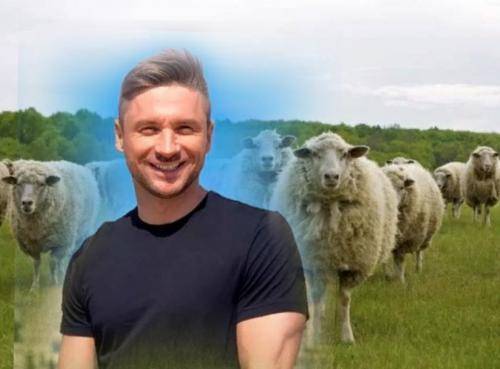 Сергей Лазарев - В России – овцы, в Европе – культура? Лазарев «разнес» российских поклонников - vistanews.ru - Россия