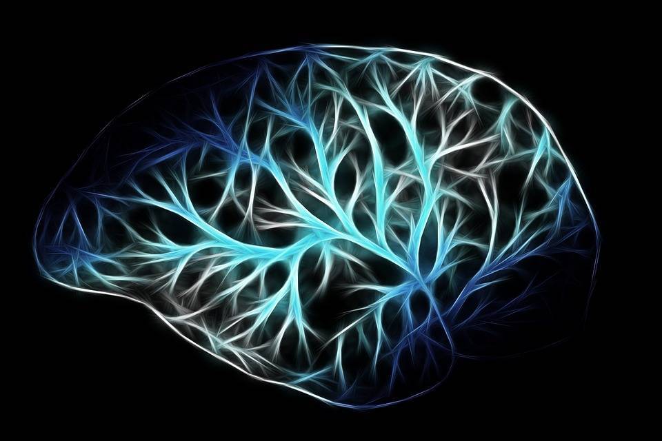 Музыкальные предпочтения человека напрямую указывают на IQ и характер человека - Cursorinfo - cursorinfo.co.il