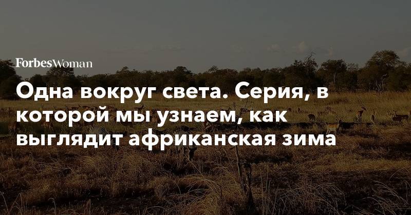 Одна вокруг света. Серия, в которой мы узнаем, как выглядит африканская зима - forbes.ru - Танзания