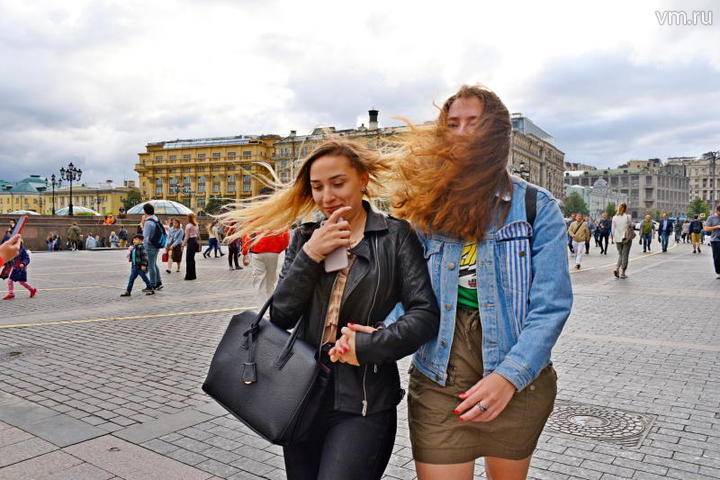 МЧС предупредило москвичей о сильном ветре 28 июля - vm.ru - Москва - Россия