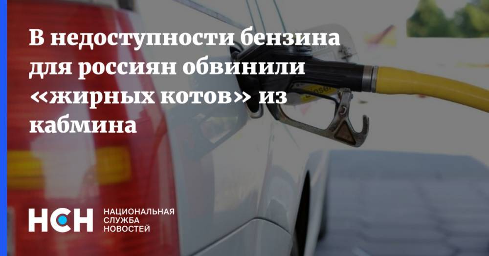 Рустам Танкаев - В недоступности бензина для россиян обвинили «жирных котов» из кабмина - nsn.fm - Россия - Украина - Люксембург
