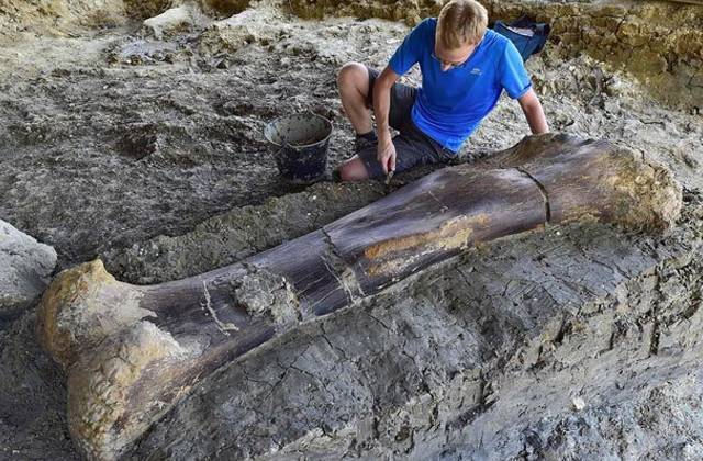 Во Франции обнаружена двухметровая бедренная кость - moya-planeta.ru - Франция - Париж