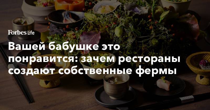 Вашей бабушке это понравится: зачем рестораны создают собственные фермы - forbes.ru - Дания