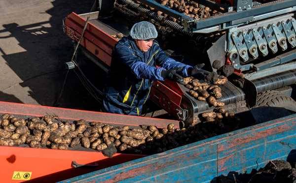 Росстат заявил о невозможности точно посчитать производительность труда - vestirossii.com - Россия - ЦФО - окр.Ненецкий - окр. Уральский - Липецкая обл.