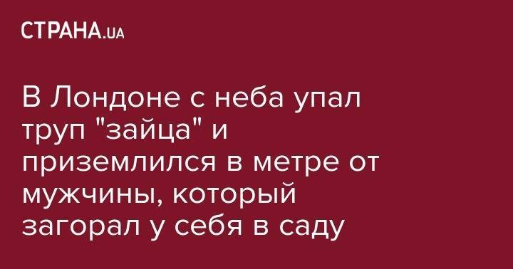 Кейт Миддлтон - В Лондоне с неба упал труп "зайца" и приземлился в метре от мужчины, который загорал у себя в саду - strana.ua - Лондон - Кения - Найроби