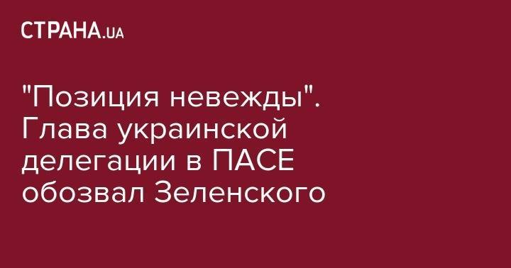 Владимир Зеленский - Владимир Гройсман - Павел Климкин - Владимир Арьев - "Позиция невежды". Глава украинской делегации в ПАСЕ обозвал Зеленского - strana.ua - Россия - Украина