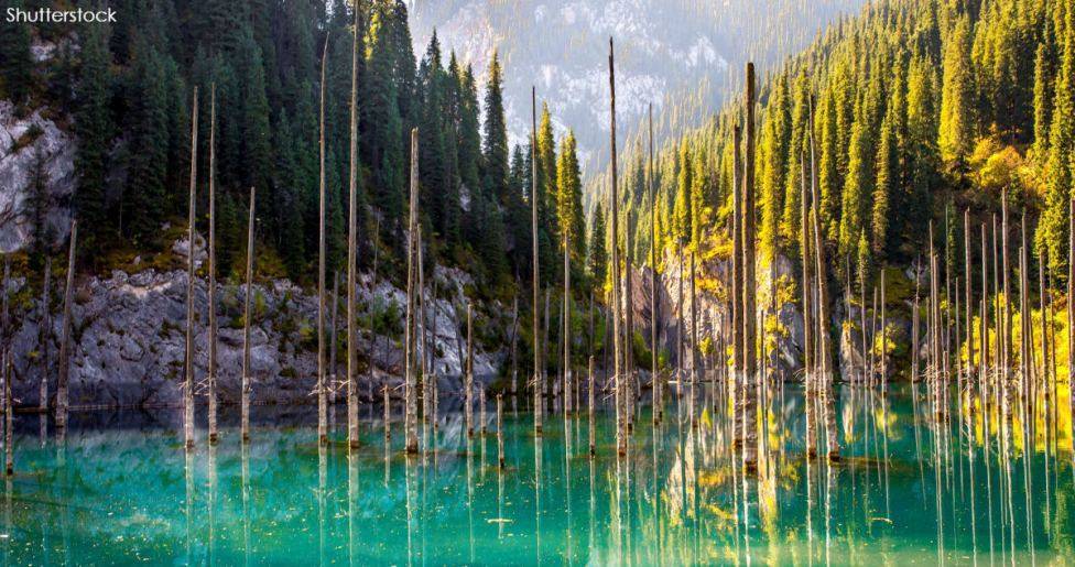 В Казахстане есть озеро, где деревья растут вверх ногами – как в сказочном фильме Невероятное место! - continent.news