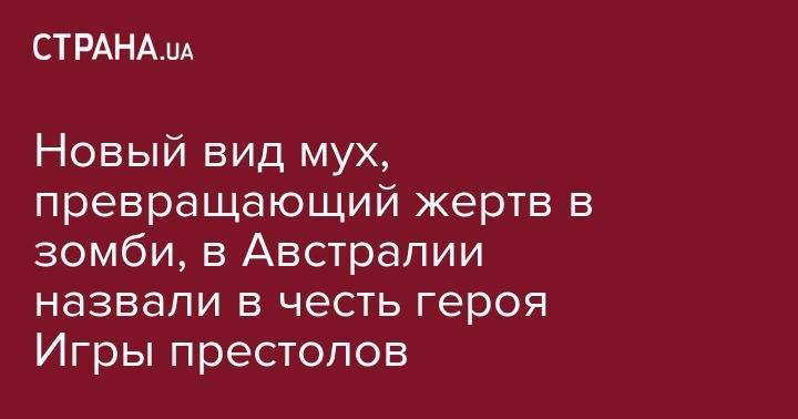 Арнольд Шварценеггер - Новый вид мух, превращающий жертв в зомби, в Австралии назвали в честь героя Игры престолов - strana.ua - Австралия