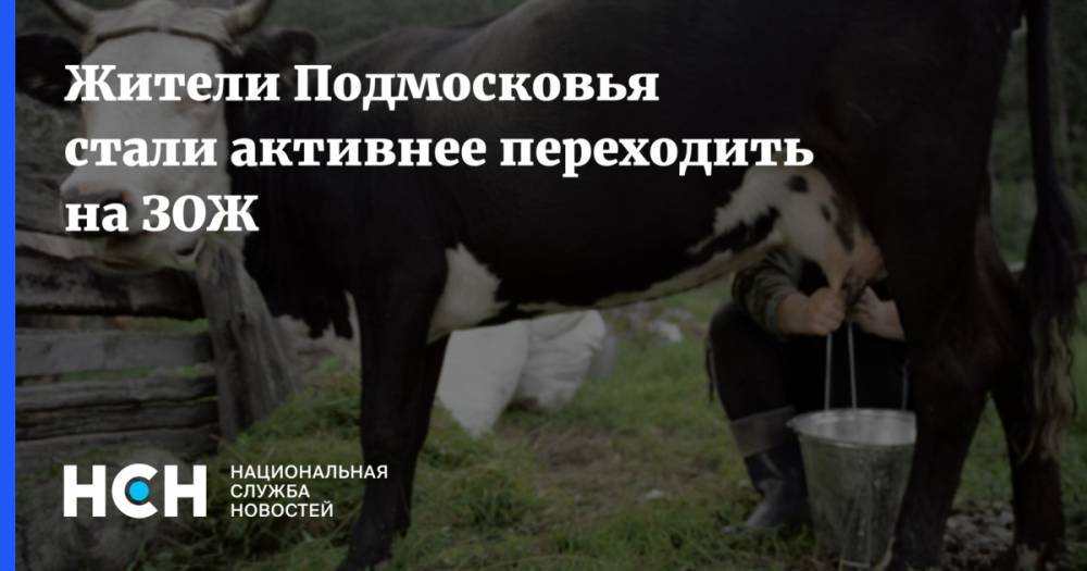 Вероника Скворцова - Жители Подмосковья стали активнее переходить на ЗОЖ - nsn.fm - Россия - Московская обл.