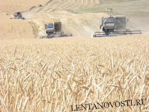 В России намолочено почти 13 млн тонн зерна урожая-2019 - lentanovosti.ru - Россия - Саратовская обл. - Белгородская обл. - Воронежская обл. - окр. Скфо