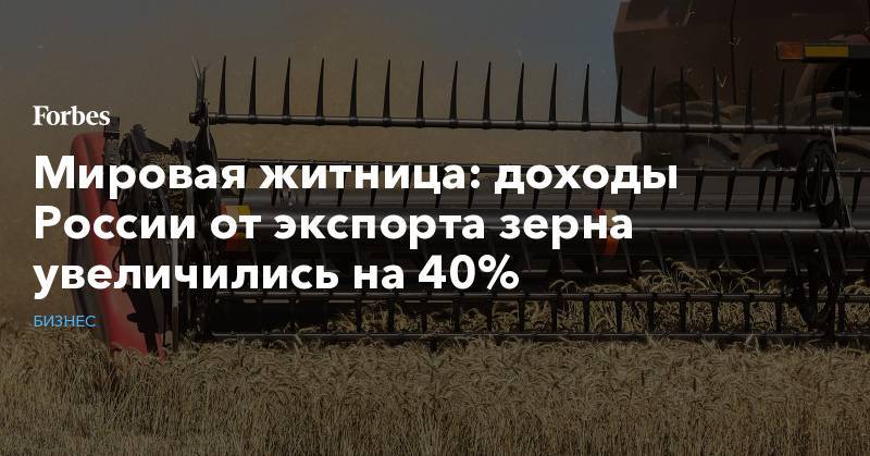 Мировая житница: доходы России от экспорта зерна увеличились на 40% - forbes.ru - Россия - США - Египет - Турция - Иран