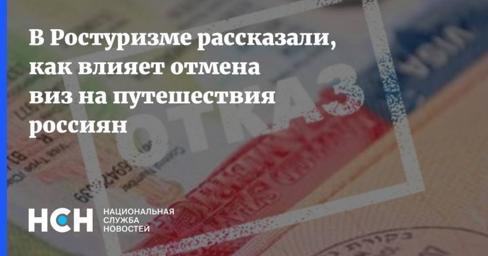 Дмитрий Горин - В Ростуризме рассказали, как влияет отмена виз на путешествия россиян - nsn.fm - Россия - Эмираты - Джибути - Бенин