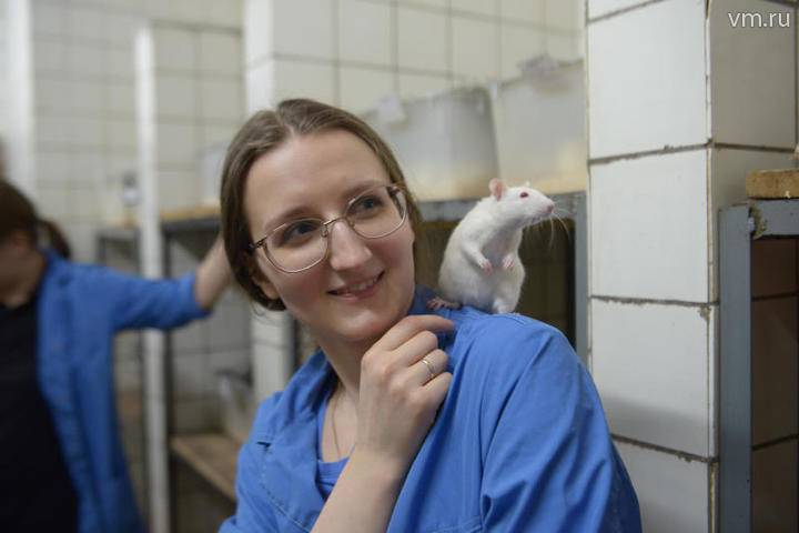 Ученые из Небраски «стерли» ВИЧ из ДНК 23 мышей - vm.ru - штат Небраска