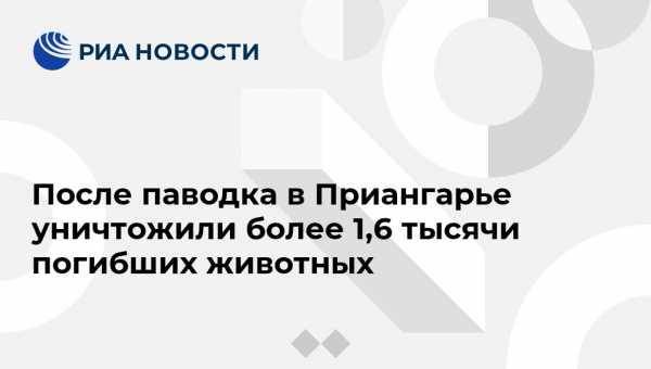 После паводка в Приангарье уничтожили более 1,6 тысячи погибших животных - vestirossii.com - Москва - Иркутская обл.