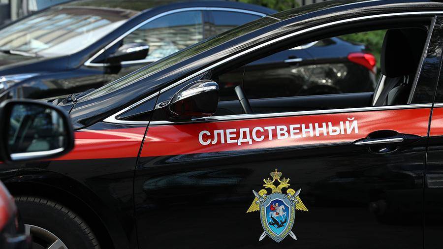 СК возбудил уголовное дело по факту смерти ребенка в Кургане - iz.ru - Россия - Ульяновск - Курганская обл.