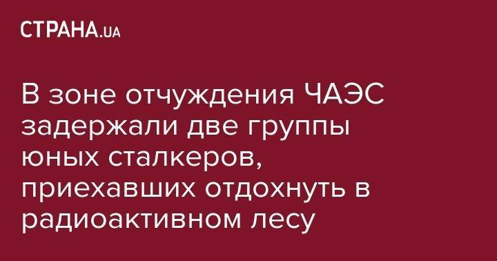 В зоне отчуждения ЧАЭС задержали две группы юных сталкеров, приехавших отдохнуть в радиоактивном лесу - strana.ua - Украина - Киевская обл. - Львов - Кривой Рог