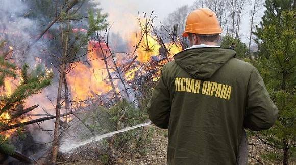 В Сибири за сутки выгорает пол километра леса - rusjev.net - Красноярский край - Красноярск - Енисейск - район Таймырский