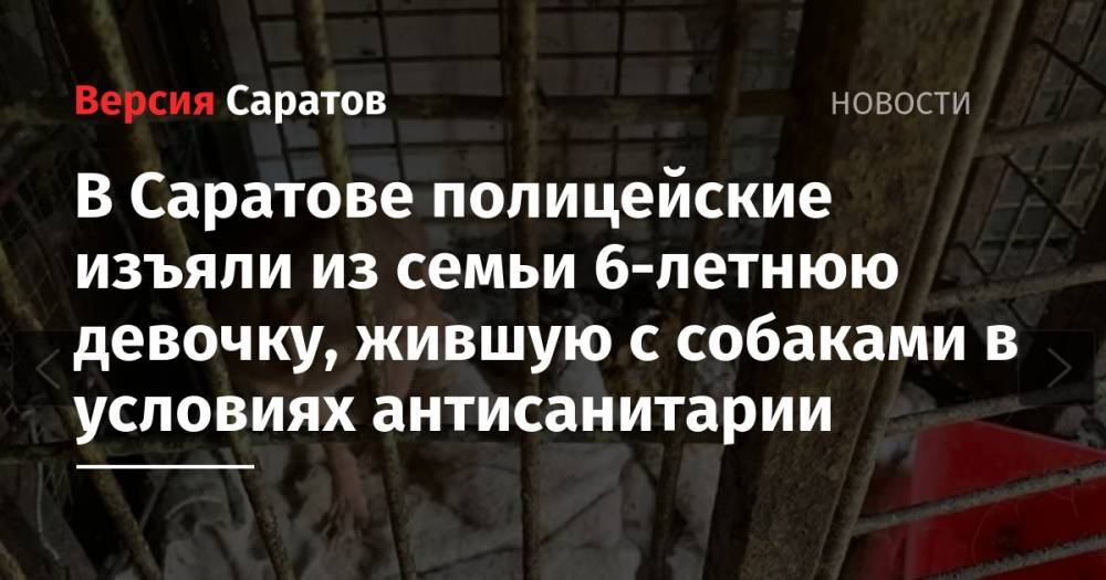 В Саратове полицейские изъяли из семьи 6-летнюю девочку, жившую с собаками в условиях антисанитарии - nversia.ru - Саратов