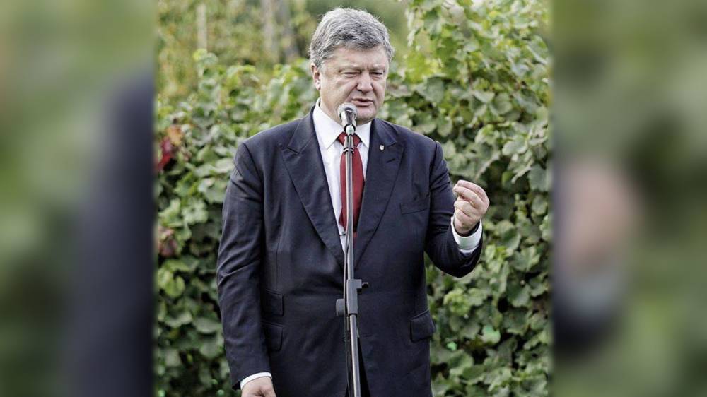 Петр Порошенко - Андрей Портнов - 12 августа украинцы смогут потаскать за пиджак живого Порошенко - politnavigator.net