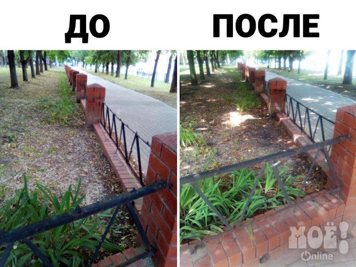 Опасный забор в Воронеже лишили «зубов»
- Новости Воронежа - moe-online.ru - Воронеж