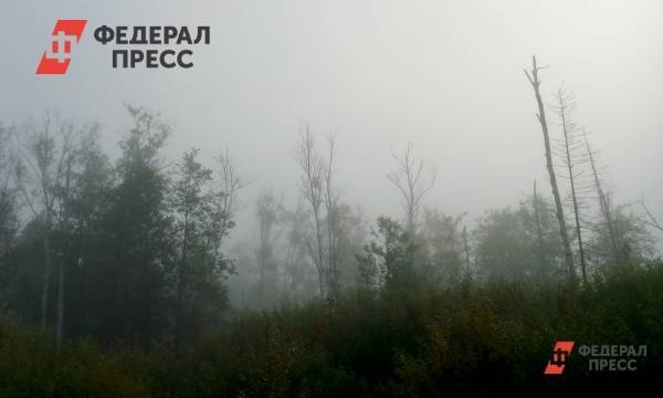 Сергей Собянин - Елен Майоров - Москвичи просят Собянина направить деньги в Сибирь, вместо благоустройства | Москва | ФедералПресс - fedpress.ru - Москва - Омск