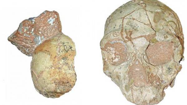 Археологи обнаружили древнейшие останки людей за пределами Африки - glavtema.ru - Германия - Греция