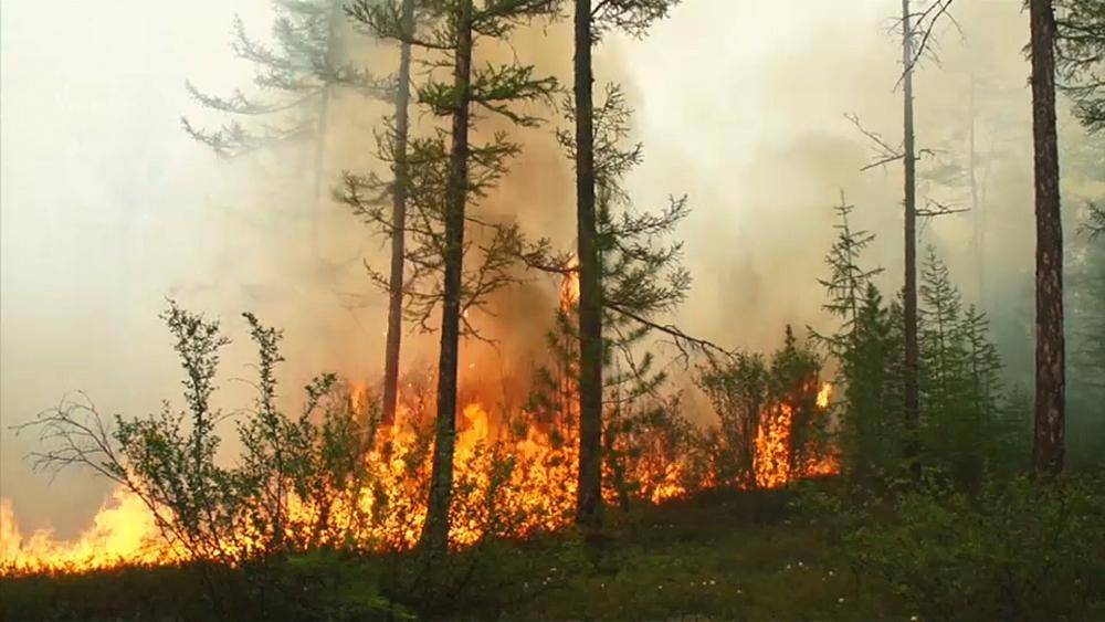 Европейская жара в Гренландии - ru.euronews.com - Канада - шт.Аляска - Гренландия - Новости