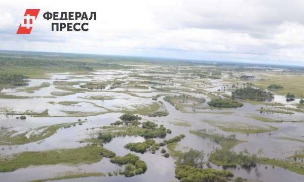 Андрей Воробьев - В Хабаровском крае введен режим ЧС | Хабаровский край | ФедералПресс - fedpress.ru - Красноярский край - Иркутская обл. - Хабаровский край - Хабаровск - Байкальск