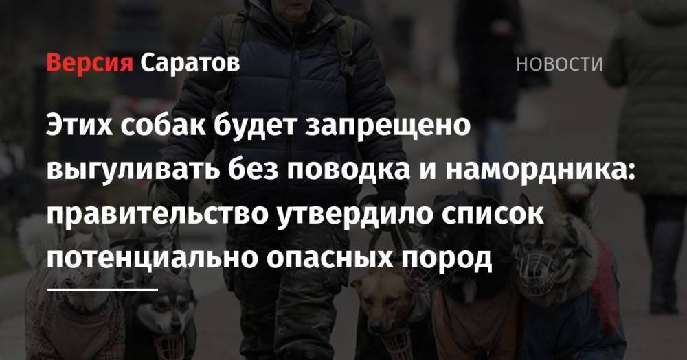 Дмитрий Медведев - Этих собак будет запрещено выгуливать без поводка и намордника: правительство утвердило список потенциально опасных пород - nversia.ru - Россия