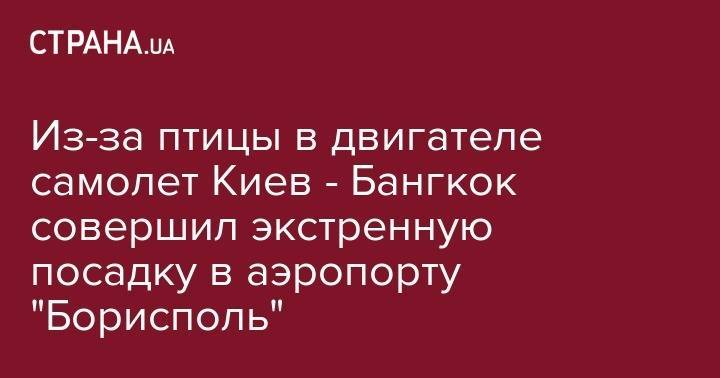 Из-за птицы в двигателе самолет Киев - Бангкок совершил экстренную посадку в аэропорту "Борисполь" - strana.ua - Москва - Киев - Варшава - Таиланд - Таллин - Бангкок