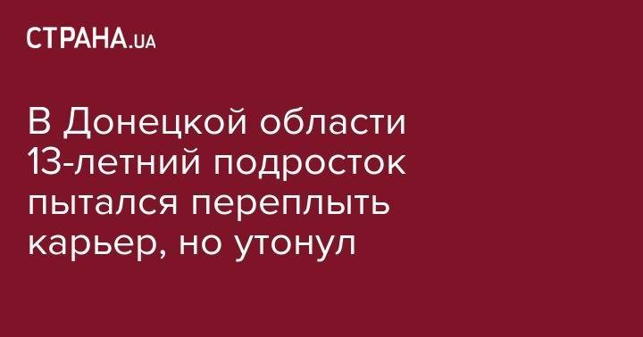 В Донецкой области 13-летний подросток пытался переплыть карьер, но утонул - strana.ua - Украина - Киев - обл. Донецкая