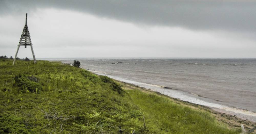 В СК назвали причину задержания начальника уголовного розыска Приморья. - daylynews.ru - Россия - Приморье край