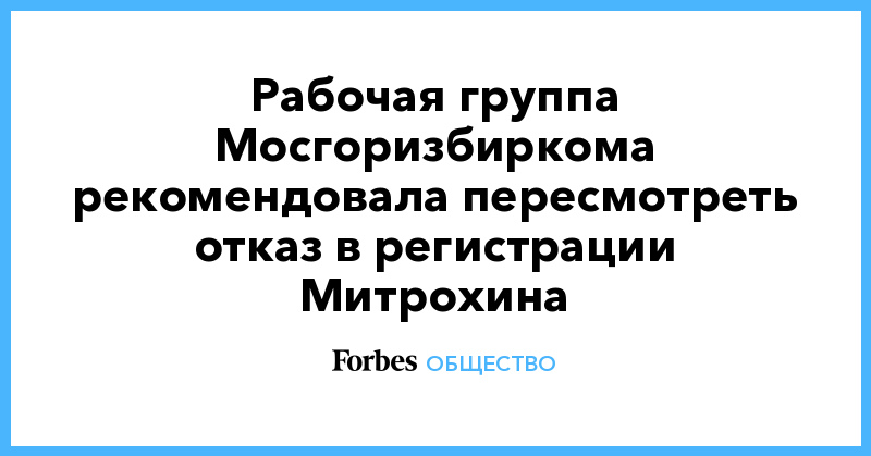 Любовь Соболь - Иван Жданов - Дмитрий Гудков - Константин Янкаускас - Сергей Митрохин - Андрей Бабушкин - Дмитрий Реут - Рабочая группа Мосгоризбиркома рекомендовала пересмотреть отказ в регистрации Митрохина - forbes.ru - Москва