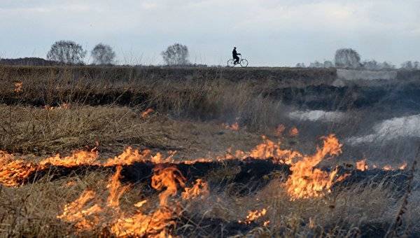 Угрожающая жара: в Крыму объявлена чрезвычайная пожарная опасность - crimea.ria.ru - Крым - Симферополь
