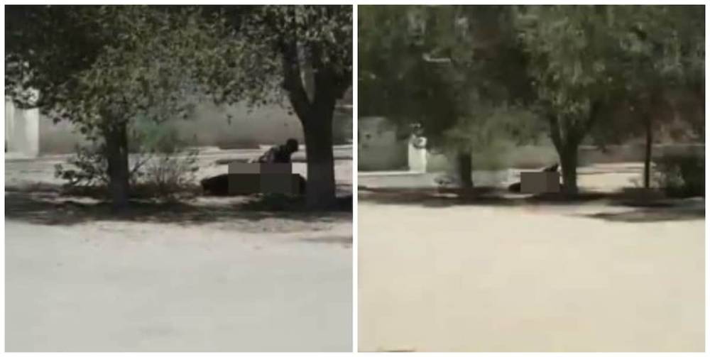 Пару, занявшуюся сексом в одном из дворов в Актау, накажут - nur.kz - Мангистауская обл. - Актау