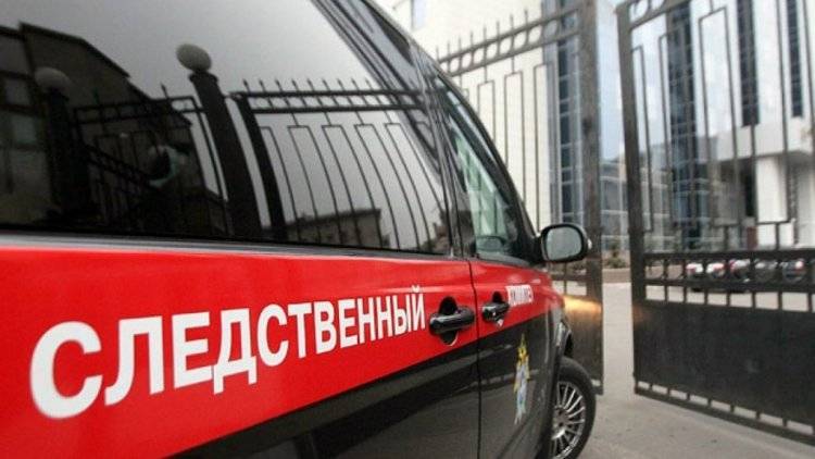 Юлия Иванова - СКР возбудил дело по факту несогласованной акции в центре Москвы - polit.info - Россия - Москва