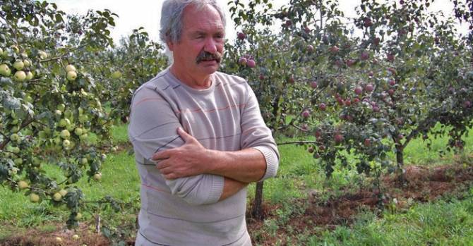 Пять лет назад Лукашенко заявил, что Беларусь уйдет от импорта яблок. Почему этого не произошло? - udf.by - Россия - Украина - Молдавия - Белоруссия - Польша