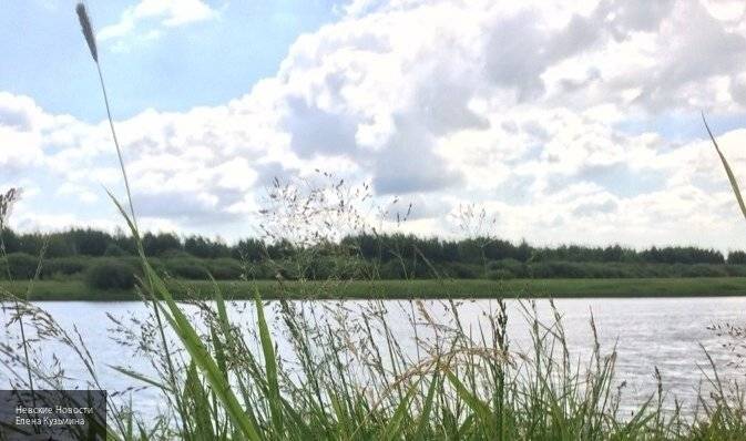 В Петербурге студент Военно-морской академии спас утопающего мужчину - newinform.com - Санкт-Петербург - Карелия