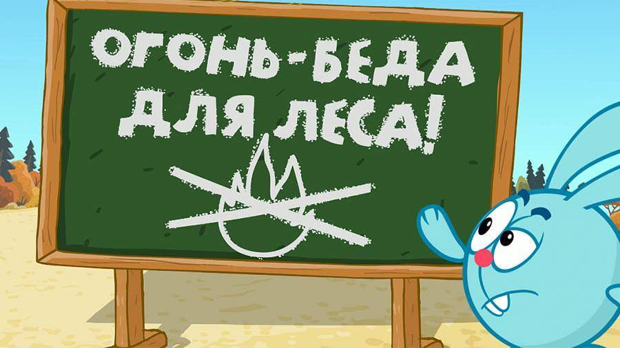 Вышла новая серия «Смешариков» о борьбе с лесными пожарами - iz.ru - Россия - Красноярский край - Иркутская обл. - Кемеровская обл. - респ. Саха - респ.Бурятия - респ. Хакасия