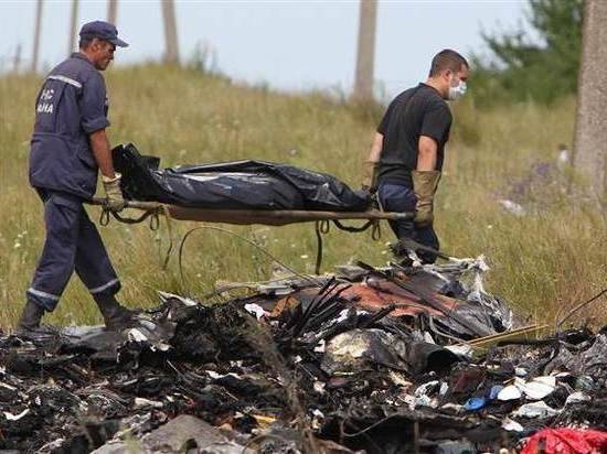 Владимир Путин - Йозеф Реш - Нидерланды отказались принять данные детектива из Германии по MH17 - vestirossii.com - Москва - Россия - Украина - Германия - Бразилия - Голландия