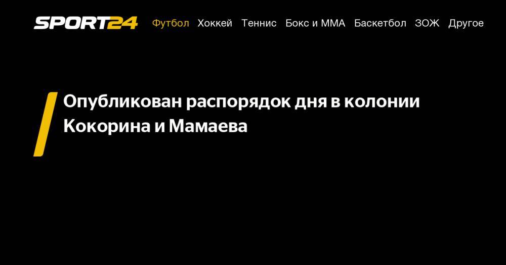 Павел Мамаев - Александр Кокорин - Опубликован распорядок дня в&nbsp;колонии Кокорина и&nbsp;Мамаева - sport24.ru - Краснодар - Белгородская обл.