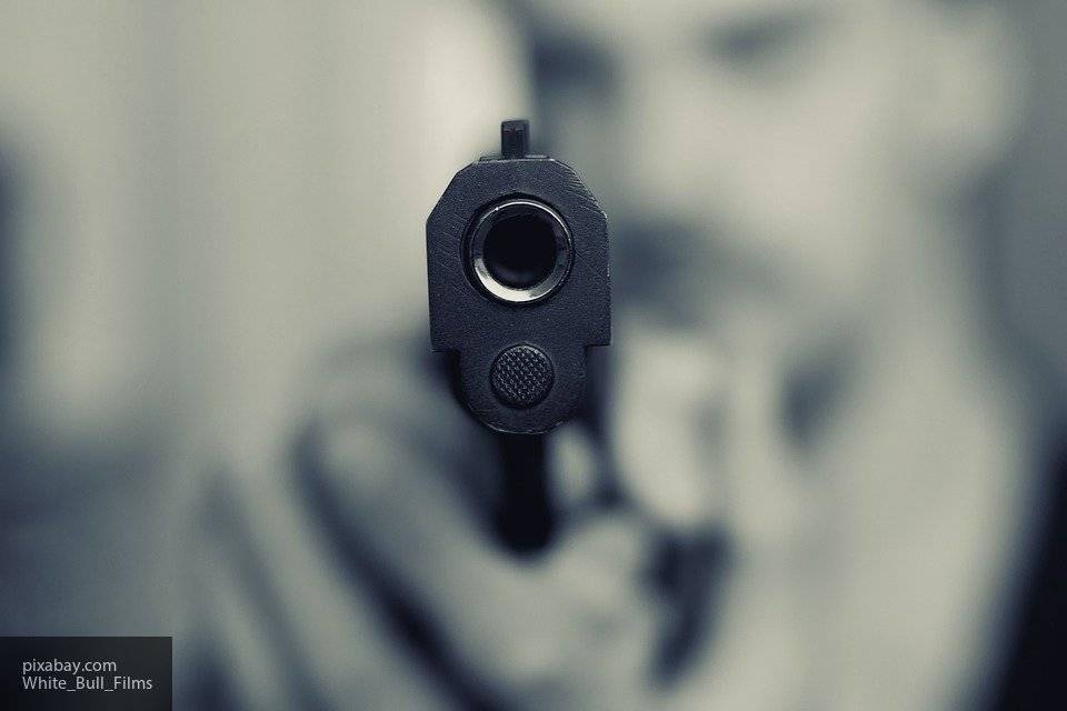 Личность калифорнийского стрелка установлена полицейскими - politexpert.net - Франция - шт. Невада
