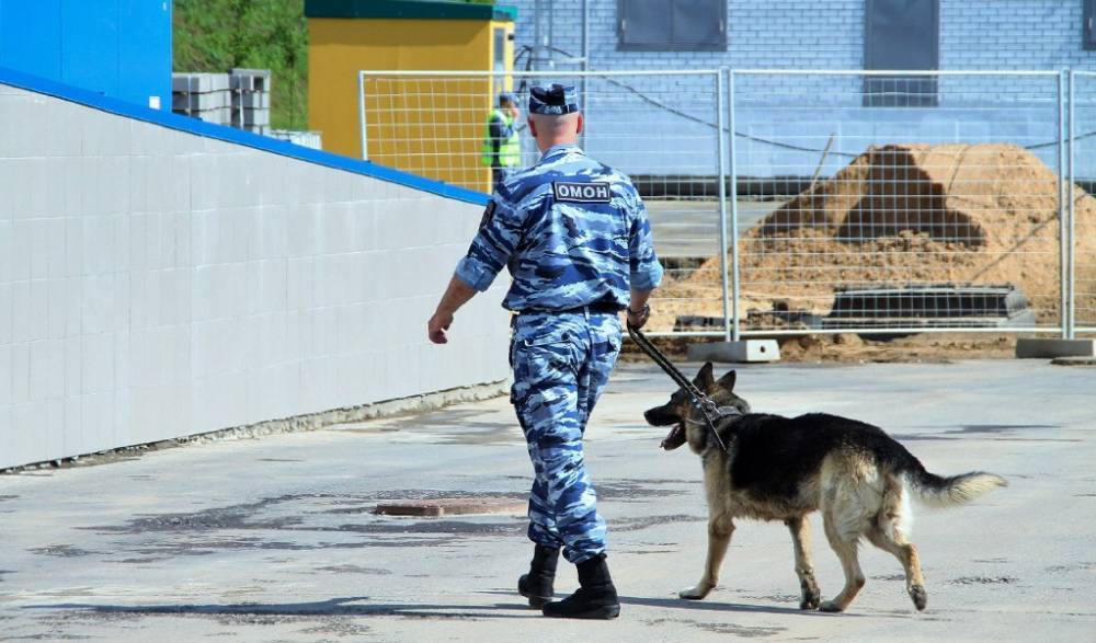 Александр Буксман - В России с начала года предотвратили 17 терактов - m24.ru - Москва - Россия - Московская обл. - Саратов - Ростовская обл.