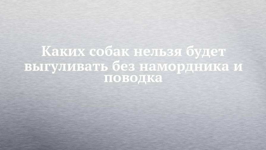Дмитрий Медведев - Каких собак нельзя будет выгуливать без намордника и поводка - chelny-izvest.ru