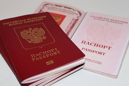 Владимир Путин - В ДНР заявили о фейках Киева о выдаче российских паспортов - versia.ru - Россия - Украина - Киев - обл. Донецкая - Луганская обл. - ДНР - Ростовская обл. - ЛНР - Донбасс
