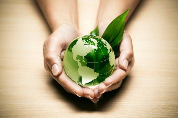 Джеймс Кук - Как растения работают на нашу планету - ecosever.ru - Австралия - Франция - Канберра