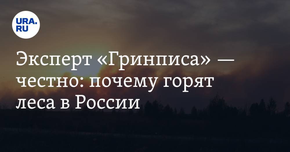 Екатерина Сычкова - Эксперт «Гринписа»&nbsp;— честно: почему горят леса в&nbsp;России - ura.news - Россия